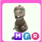 Pet | MFR Skele Rex