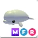 beluga whale MFR