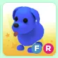 Pet | FR BLUE DOG