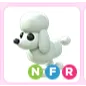 NFR Poodle