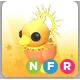 sunrise duckling  NFR