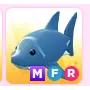 Pet | Shark MFR