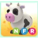 Pet | NFR COW
