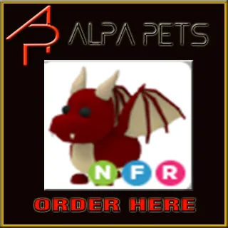 Pet | NFR DRAGON