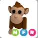 monkey NFR