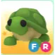 turtle FR