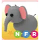 Pet | NFR ELEPHANT
