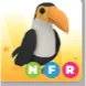 toucan NFR