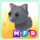 Pet | MFR CAT