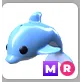 dolphin MR