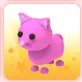Pet | PINK CAT