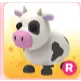 Pet | cow r