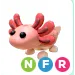 axolotl NFR