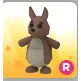 kangaroo R