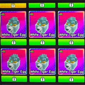 6X JOLLY WHITE TIGER EGG