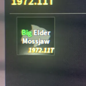 BIG ELDER MOSSJAW
