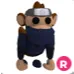 Ninja monkey