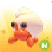 N hermit crab