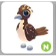 N roadrunner