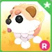 R cryptid