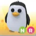 NR penguin