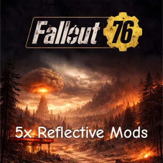 5x Reflective Mods