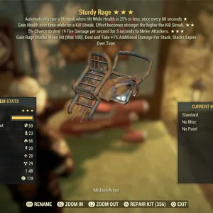 New! Sturdy Rage Armour