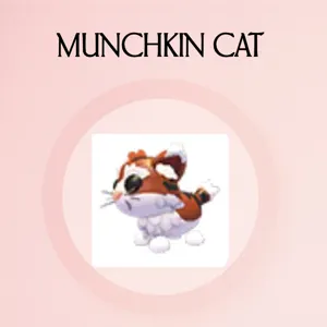 Munchkin Cat