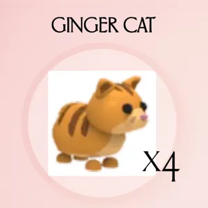 Ginger Cat x4