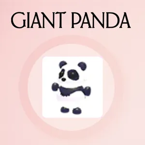 Giant Panda
