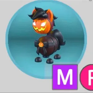 Pet | MR Headless Horse