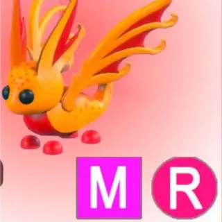 Pet | Sunglider [MR]