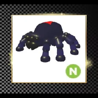 Pet | Neon Black Widow