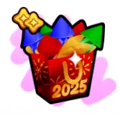 5x 2025 new year gift