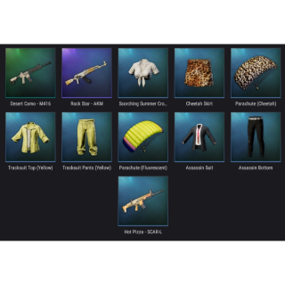 Pubg Pubg Lite Skin Permanent Playerunknown S Battlegrounds ゲーム内アイテム Gameflip