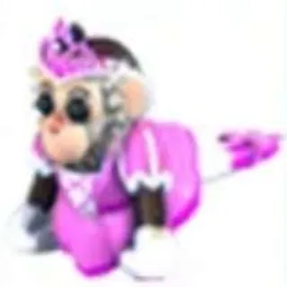 Princess Capuchin Monkey