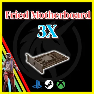 Fried Motherboard
