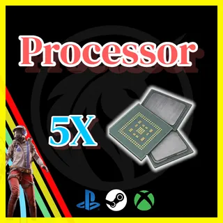 Processor