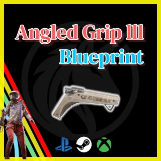 Angled Grip III Blueprint