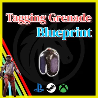 Tagging Grenade Blueprint