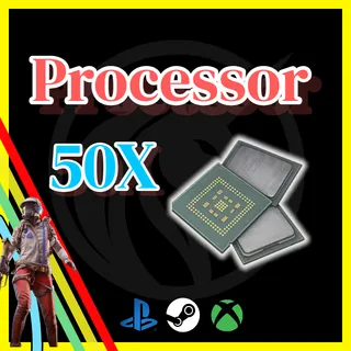 Processor