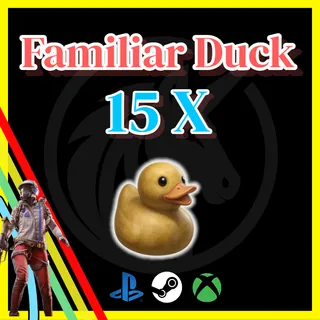 Familiar Duck