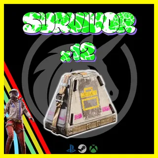 ARC Raiders Survivor