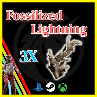 Fossilized Lightning