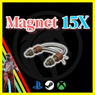 Magnet
