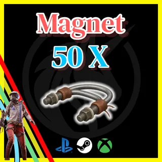 Magnet