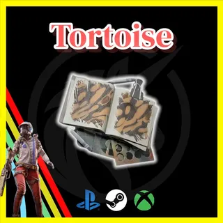 Tortoise Stencil