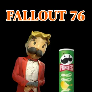 FALLOUT 76 PRINGLES