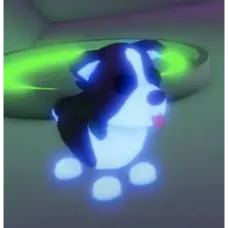 Neon border collie