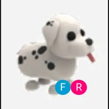 FR Dalmatian 